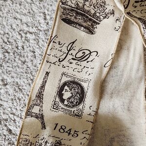 Parisian 4in wired ribbon